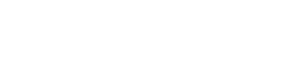 FMAS Africa Summit